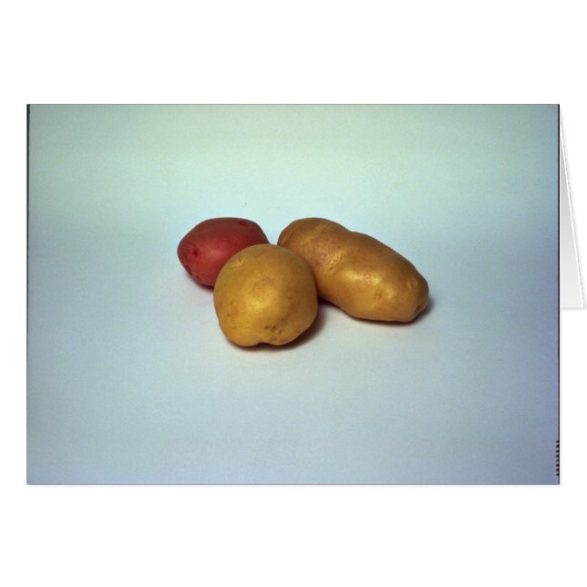 Patatas en el fondo blanco (Anverso (Horizontal))
