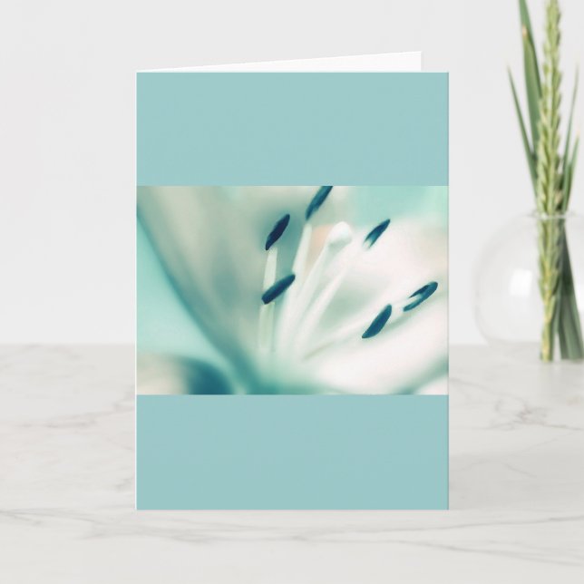 Patchouli Lily, flor, tarjetas de felicitación de  (Anverso)