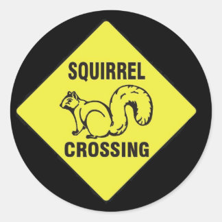 Pateé a un pegatina de ardillas