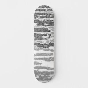 Patineta
