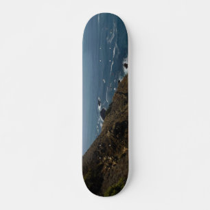 Patineta