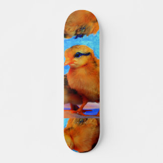 Patineta Chick-A-Dee-Light - Personalizable