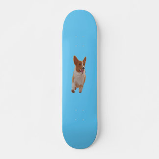 patineta corgi