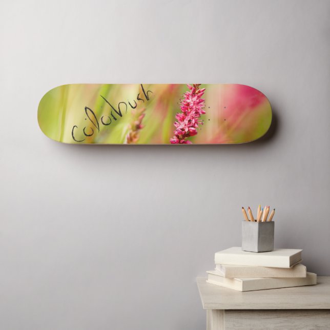 patineta de colores (Arte de pared (horz))