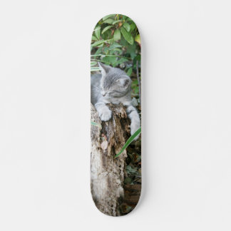 Patineta de gatito dorado