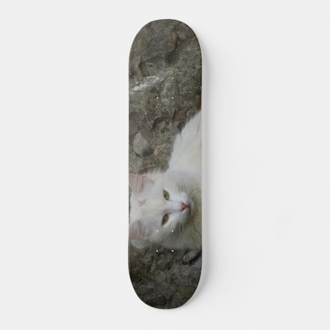 Patineta de gato blanco (Anverso)