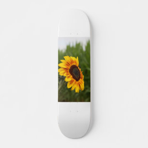 Patineta de girasol