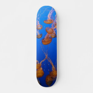 Patineta de medusa naranja