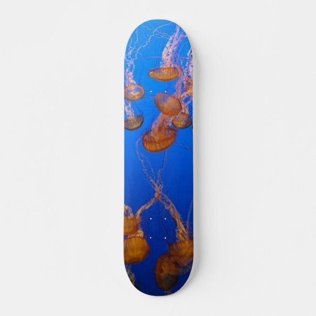 Patineta de medusa naranja (Anverso )