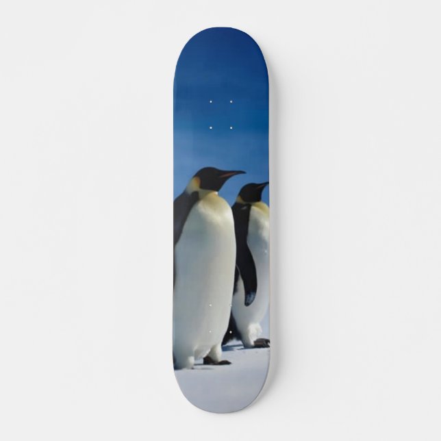 Patineta de Pingüino (Anverso )