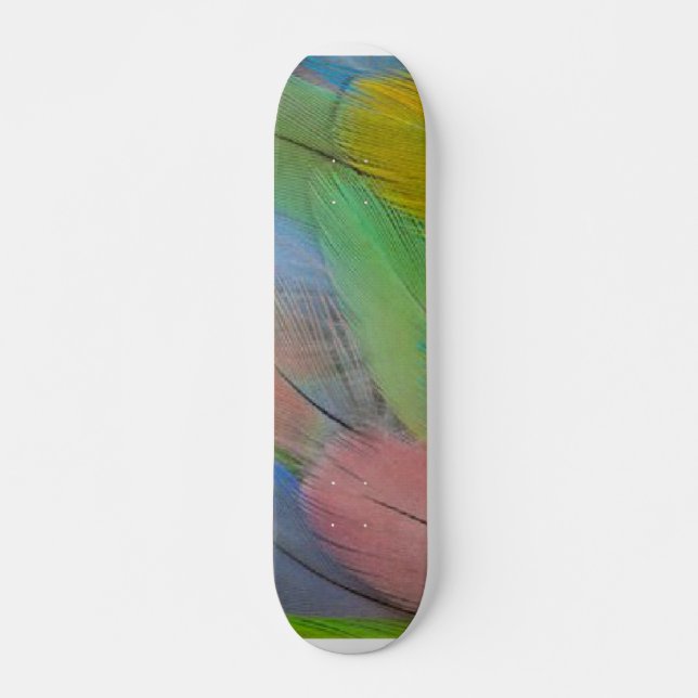 Patineta de plumas coloridas (Anverso )