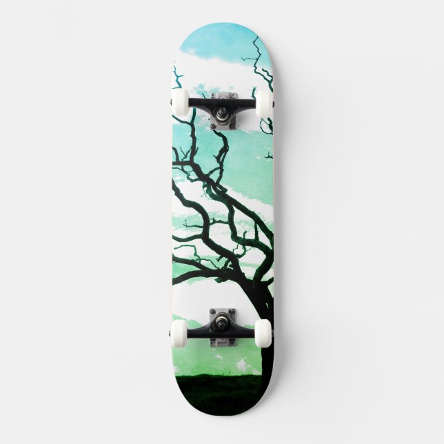 Patineta de ramas de árbol (Anverso)