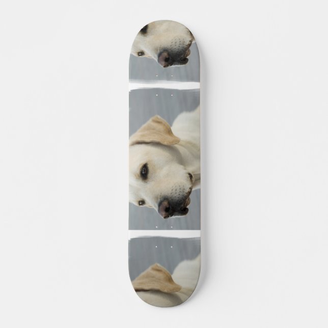 Patineta de Yellow Lab (Anverso )