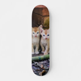 Patineta Dos Gaticos Hermanos Atentos