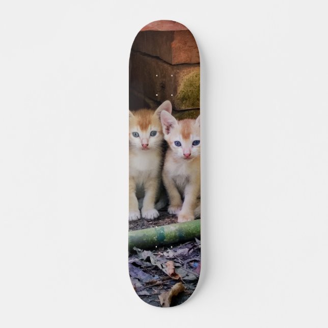 Patineta Dos Gaticos Hermanos Atentos (Anverso )