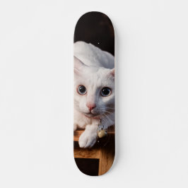 Patineta Gato Blanco Montado En Una Silla