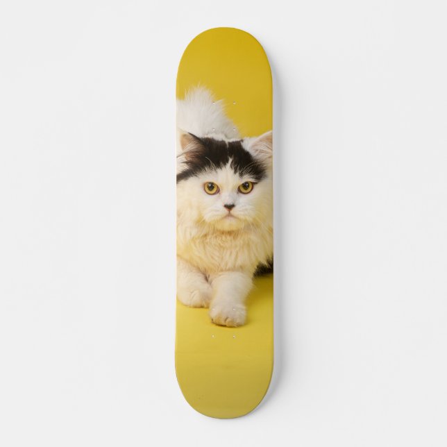 Patineta Gato Persa Caminando (Anverso )