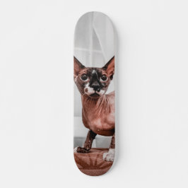 Patineta Gato Raza Esfinge