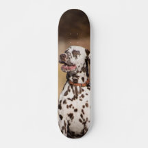 Patineta Perro Dálmata Sentado Al Aire Libre
