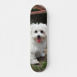 Patineta Perro Pequeño Blanco Y Peludo
