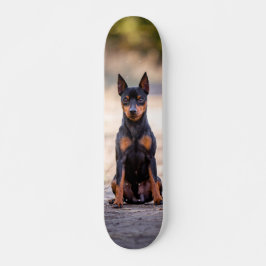 Patineta Perro Pinscher Miniatura Sentado