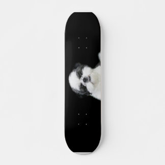 Patineta Shih Tzu