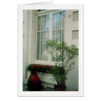 Patio francés