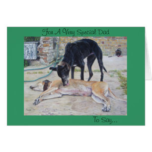 patio panorámico con perros galgo