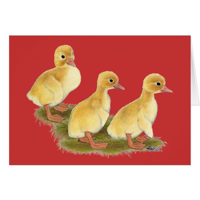 Patitos amarillos (Anverso (Horizontal))