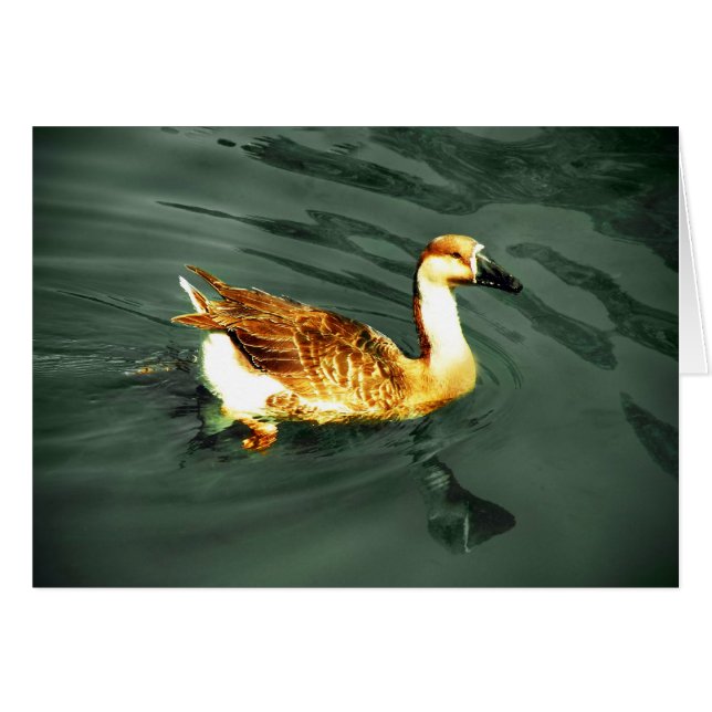 Pato (Anverso (Horizontal))