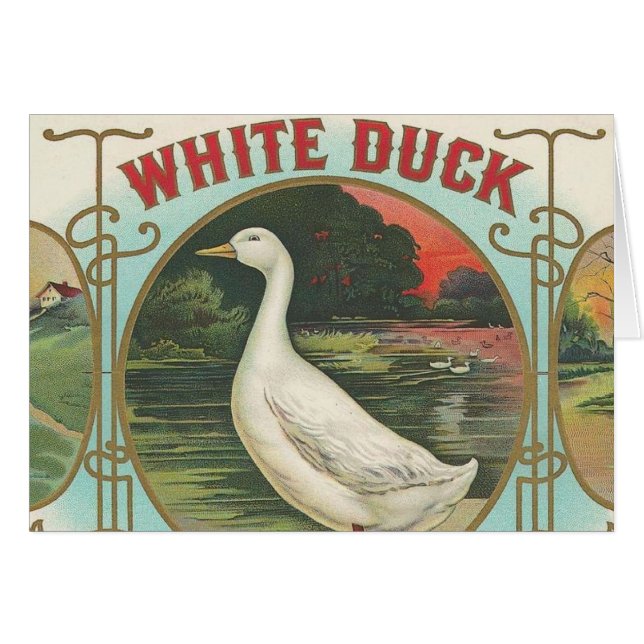 Pato blanco (Anverso (Horizontal))