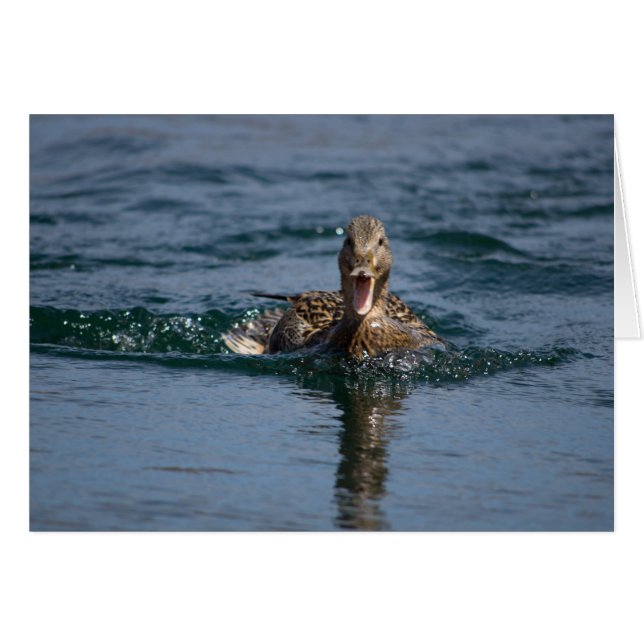 Pato con el pico abierto (Anverso (Horizontal))
