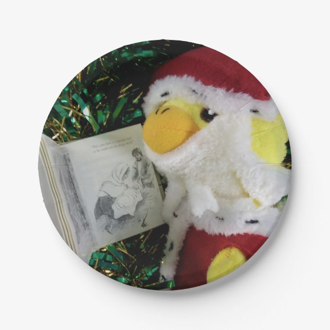 Pato Danny Santa.   Platos de papel (Anverso)