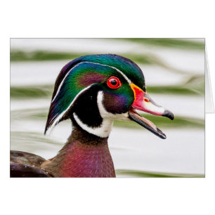 Pato de madera