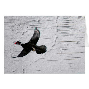 Pato de madera