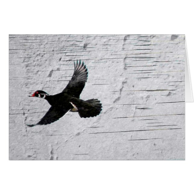 Pato de madera (Anverso (Horizontal))