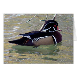 Pato de madera
