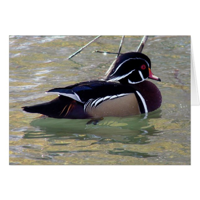 Pato de madera (Anverso (Horizontal))