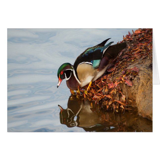 Pato de madera en la orilla (Anverso (Horizontal))