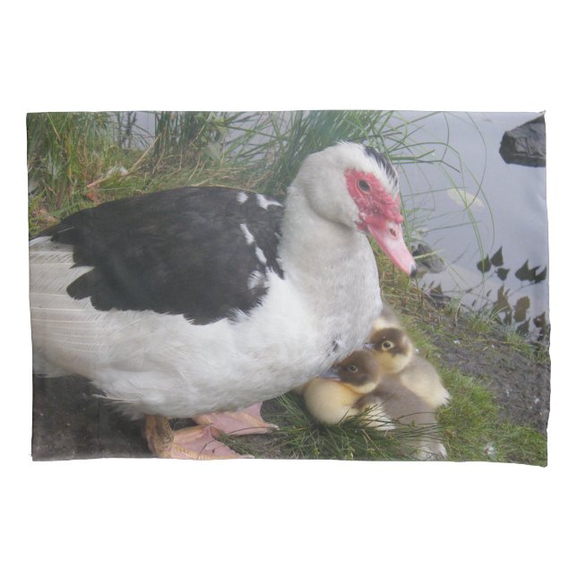 Pato de Muscovy y funda de almohada de los (Anverso)