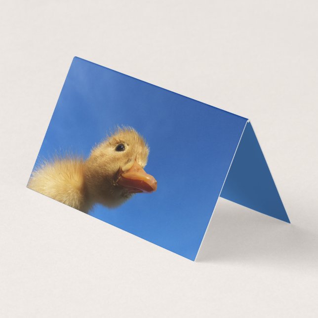 pato divertido con tarjeta azul (Anverso)