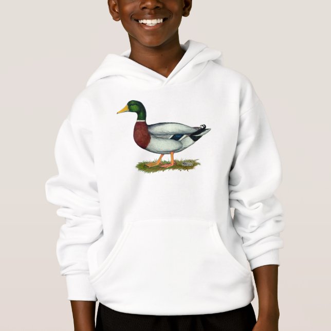 Pato Drake del pato silvestre (Anverso)