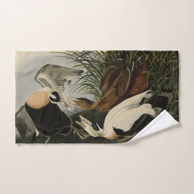 Pato Eider, Eider Común, Aves Audubon de América (Toalla de mano)