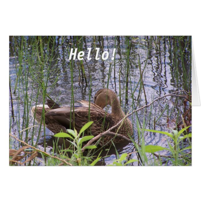 Pato en el agua (Anverso (Horizontal))