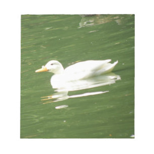 Pato en el Bloc de notas sobre el agua