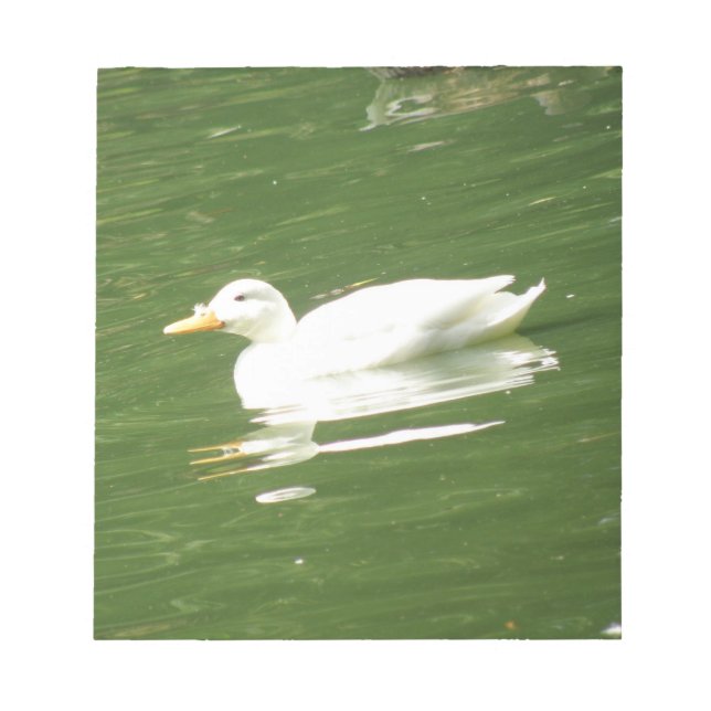 Pato en el Bloc de notas sobre el agua (Frente)