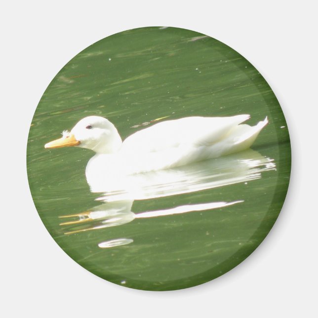 Pato en el imán (Frente)
