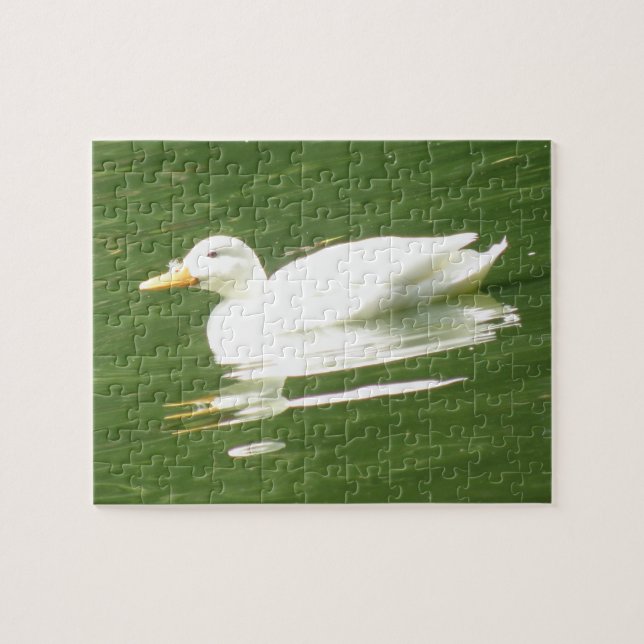 Pato en el rompecabezas del agua (Horizontal)