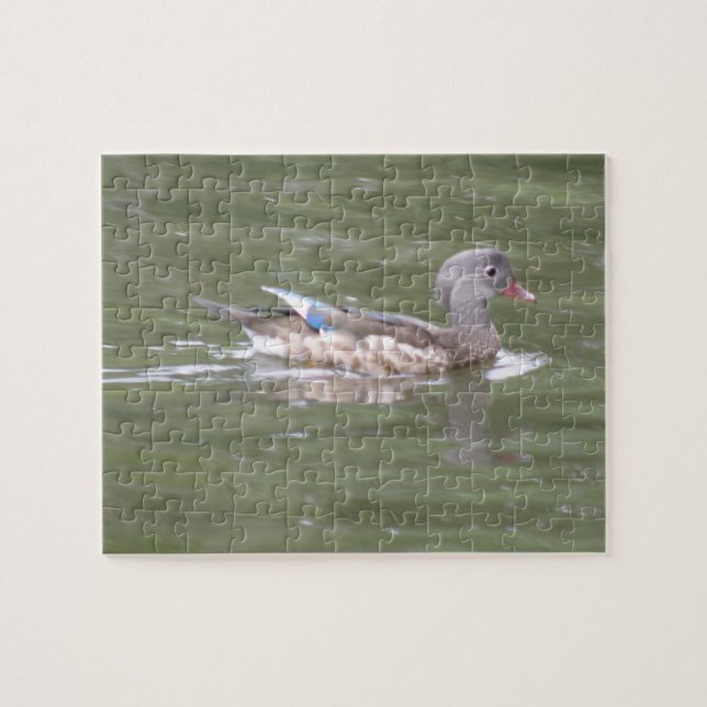Pato en el rompecabezas del lago (Horizontal)