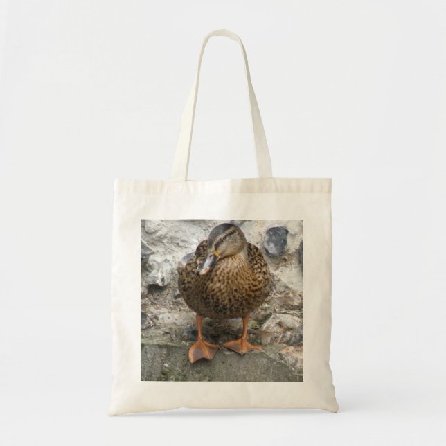 Pato en la bolsa de la pared (Frente)